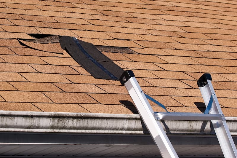 Maintaining Your Shingle Roof Throughout The Year